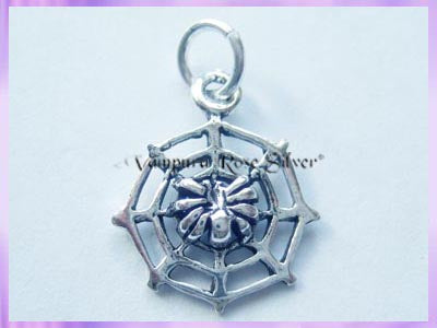 CHA68 Spider and Web Charm - VRS