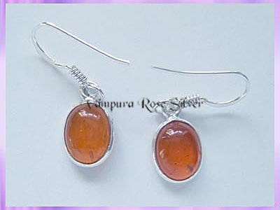 ER4 Oval Amber Earrings
